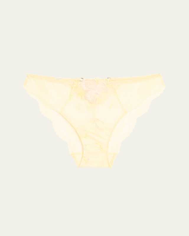 Frisson d'Or Embroidered Lace Italian Briefs